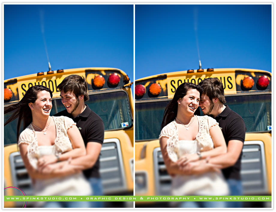allidylanengagmentblog04