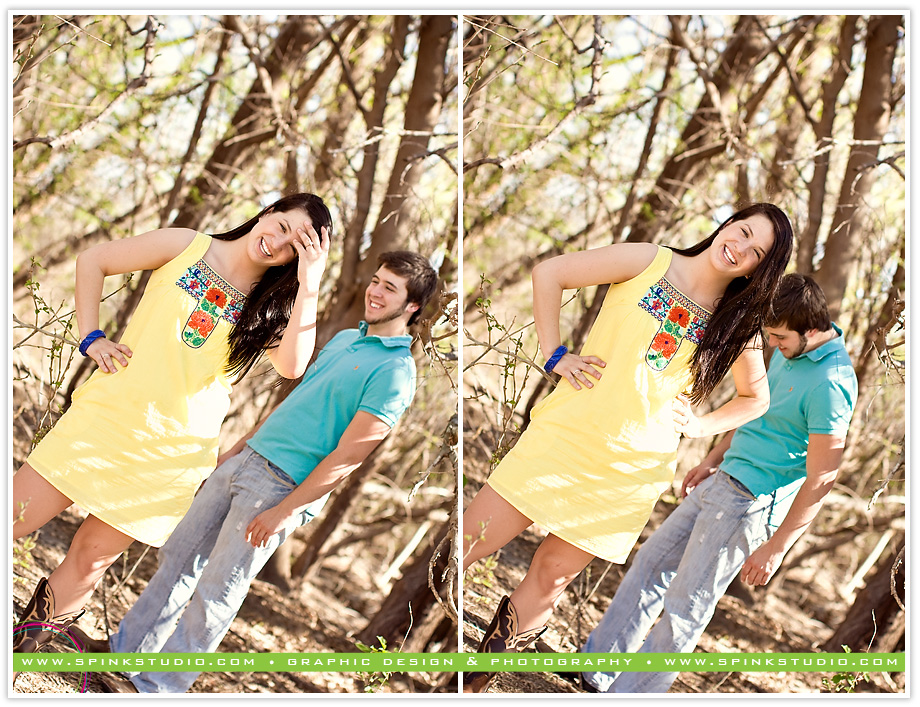 allidylanengagmentblog06