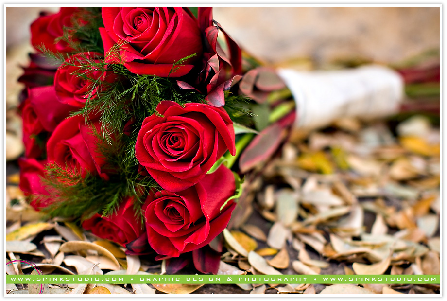 bethcameronsneakpeekblog02