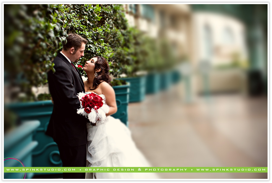 frankimaxweddingblog26 frankimaxweddingblog26