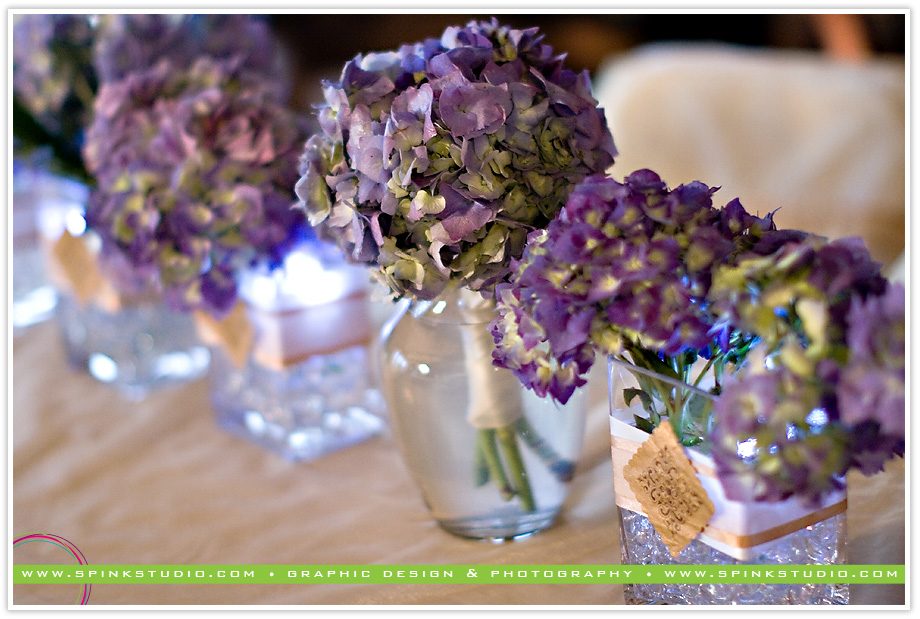 hannahjeremiahweddingblog79 hannahjeremiahweddingblog79
