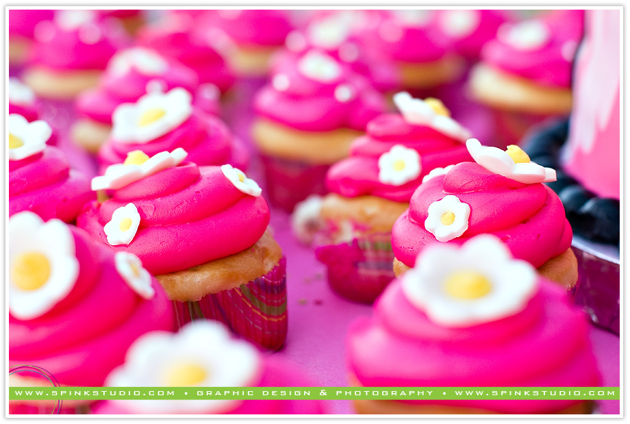 emyleebirthdayblog01 emyleebirthdayblog01