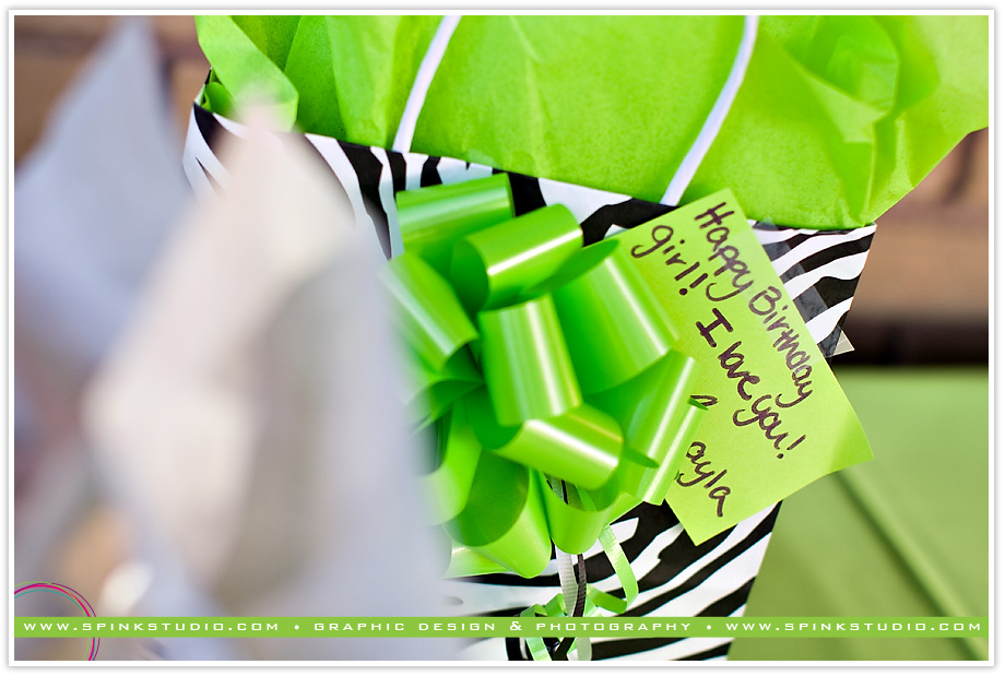 emyleebirthdayblog05 emyleebirthdayblog05