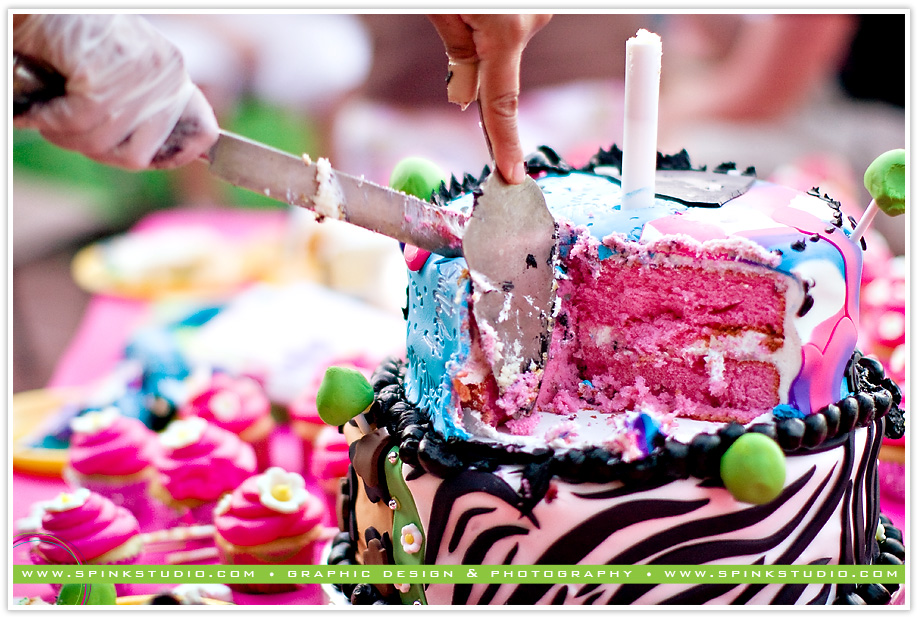 emyleebirthdayblog17 emyleebirthdayblog17