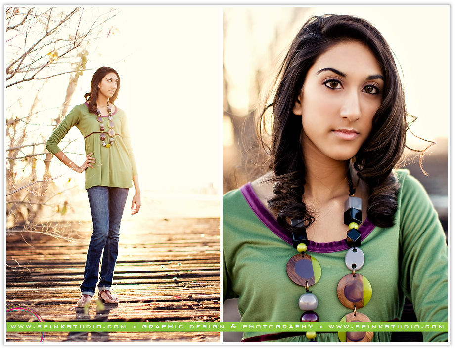 niashablog11 niashablog11