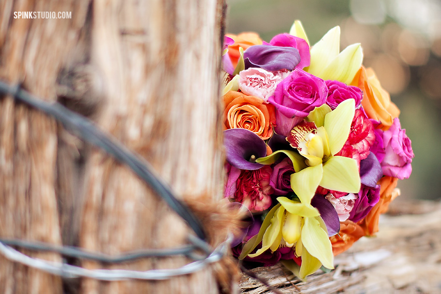 nicoledalewed37