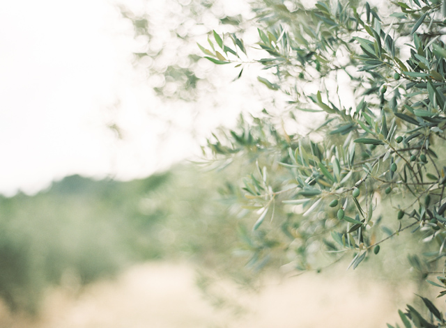 Emily and Thomas Provence France Engagement Session on Film by Kayla Barker 02