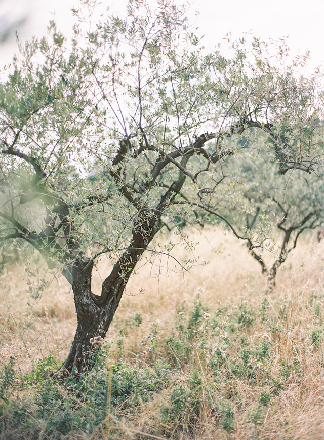 Emily and Thomas Provence France Engagement Session on Film by Kayla Barker 05