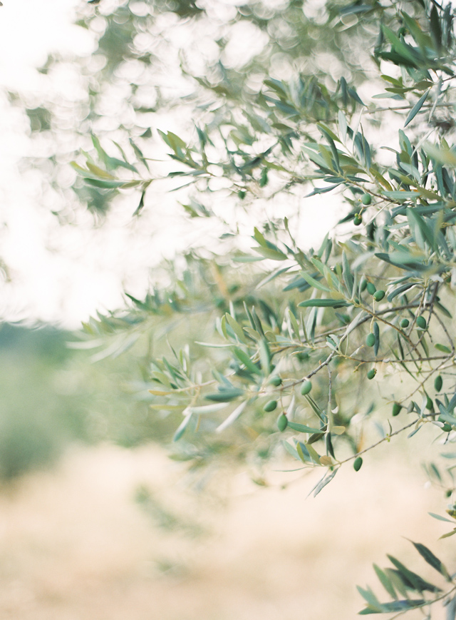 Emily and Thomas Provence France Engagement Session on Film by Kayla Barker 12