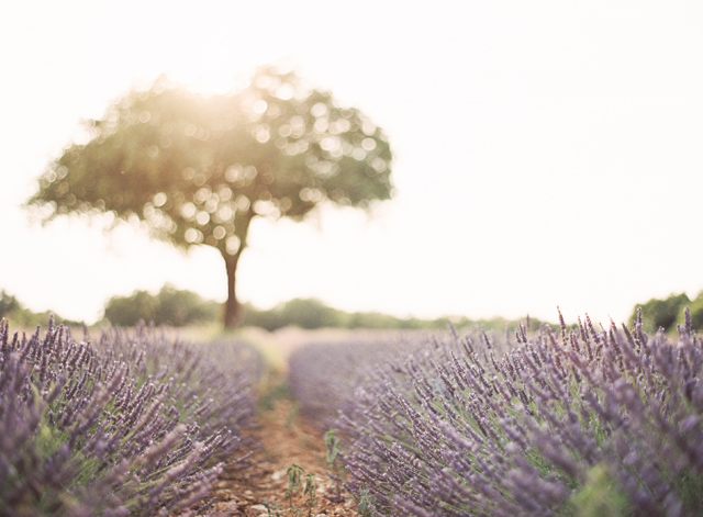 Emily and Thomas Provence France Engagement Session on Film by Kayla Barker 15