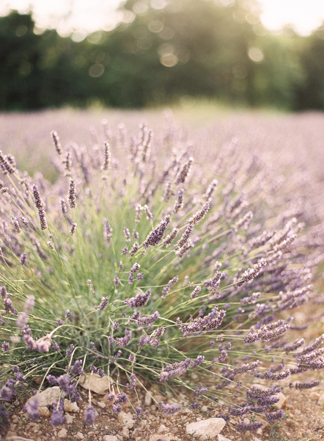 Emily and Thomas Provence France Engagement Session on Film by Kayla Barker 20